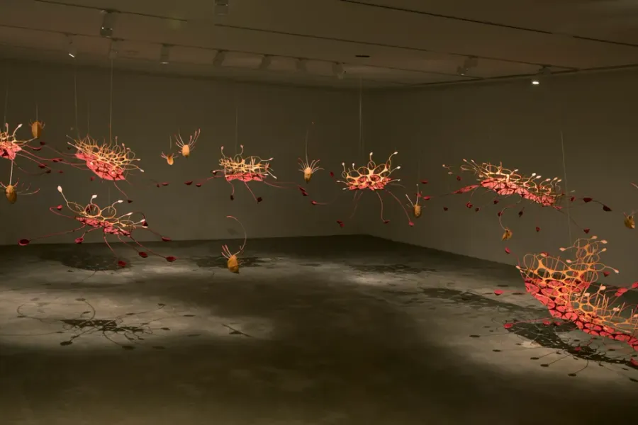 Seven ponds and a few raindrops (Ranjani Shettar)