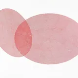 Secobarbital (Waqas Khan)