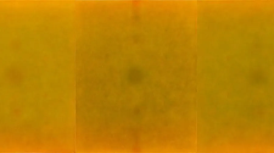 Untitled (Triptych) (Pandit Khairnar) 