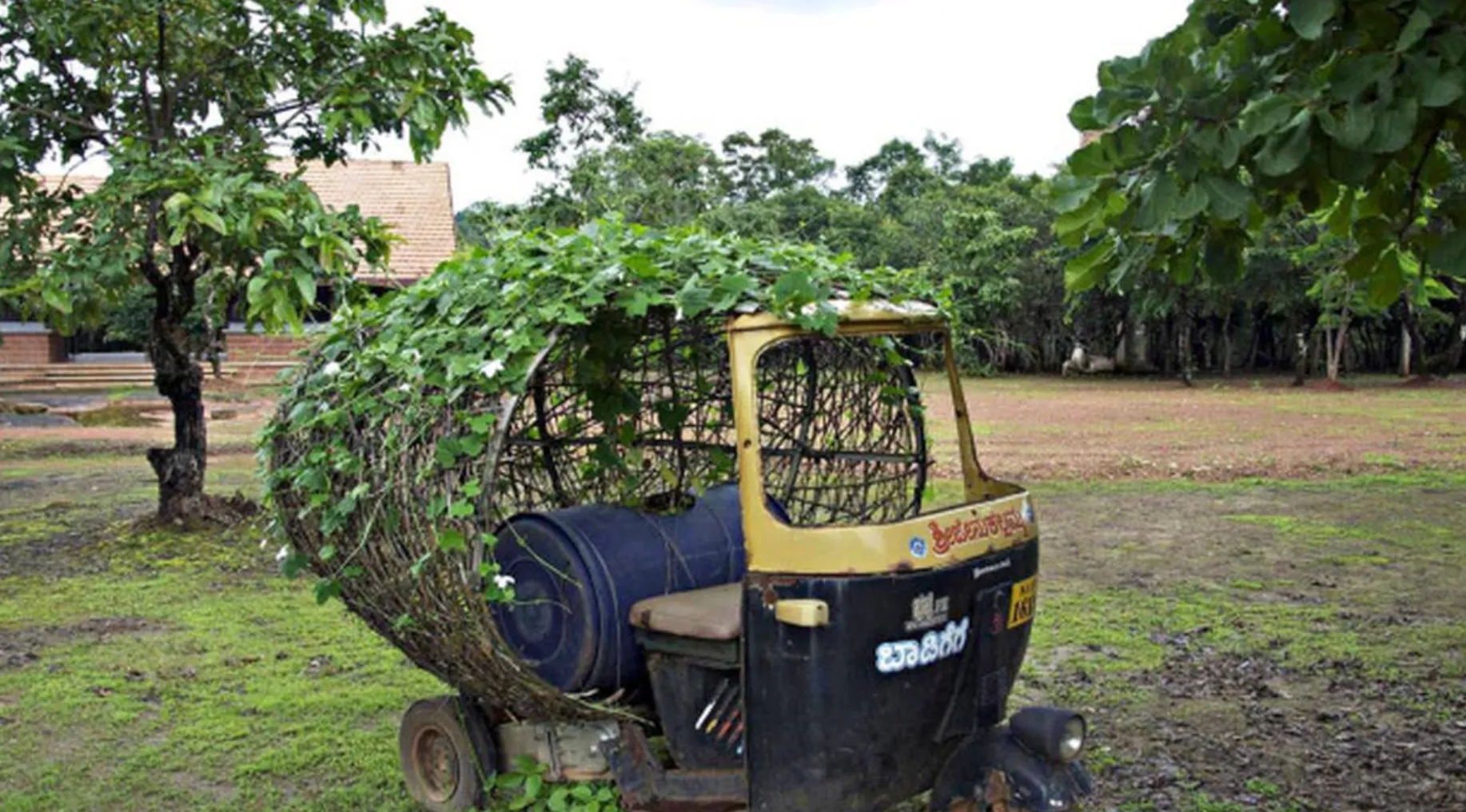 Srinivasa Prasad, Untitled, 2013
