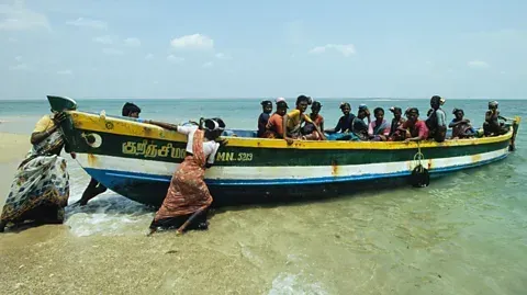Seaweed harvesting has become an important source of income to coastal communities, in particular for women